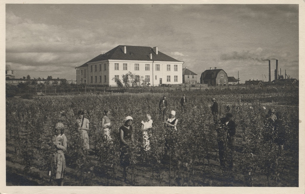 Türi Economy College in one study yard