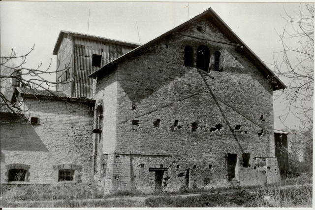 Photo Türi-Allik Wine Borg 1996