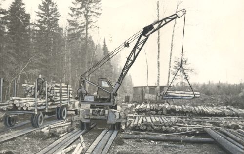 Car crane trees loading for car