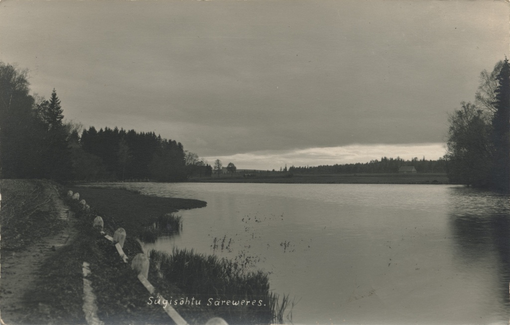 Autumn night in Säreweres