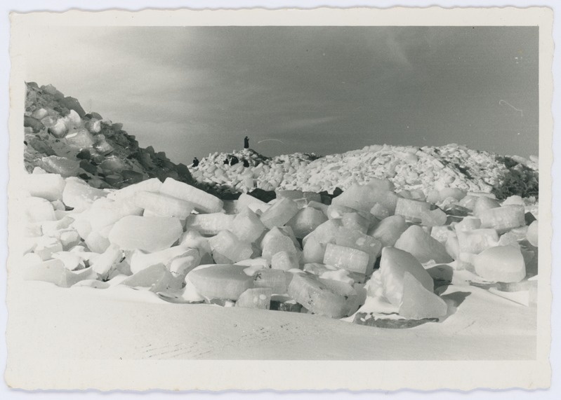 Loodusfoto. Jääkamakate mäed Pärnu rannas.