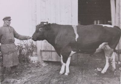 Estonian Mountain-White Scripture BottleAudruuriigimõisass.