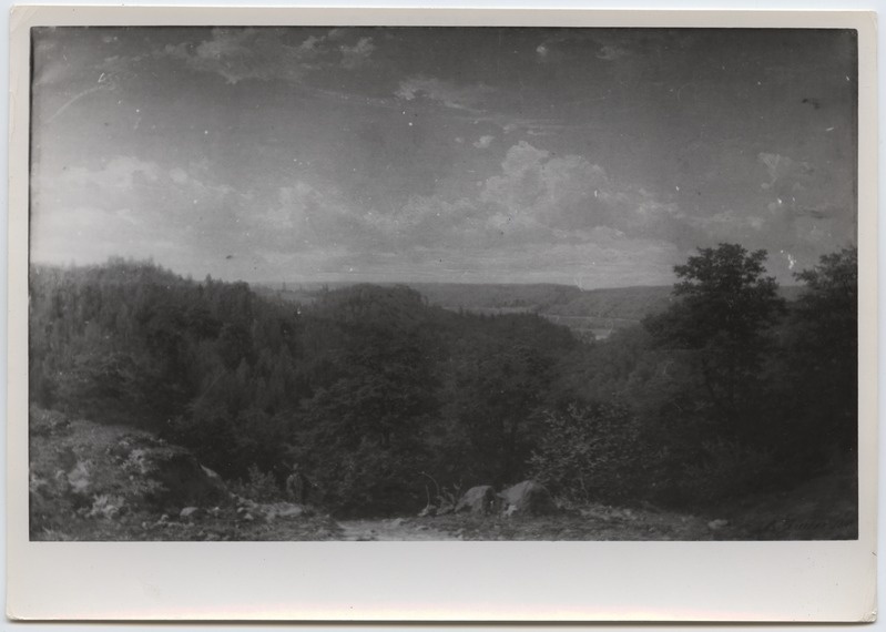 Fotoreproduktsioon E. Dücker "Lääne-Saksa metsamaastik" - Balti kunst 1942- 1944 aastatel.