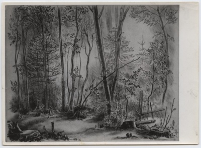 Fotoreproduktsioon Reindorff "Hommik metsas" erakogudest (Eesti kunst).  duplicate photo