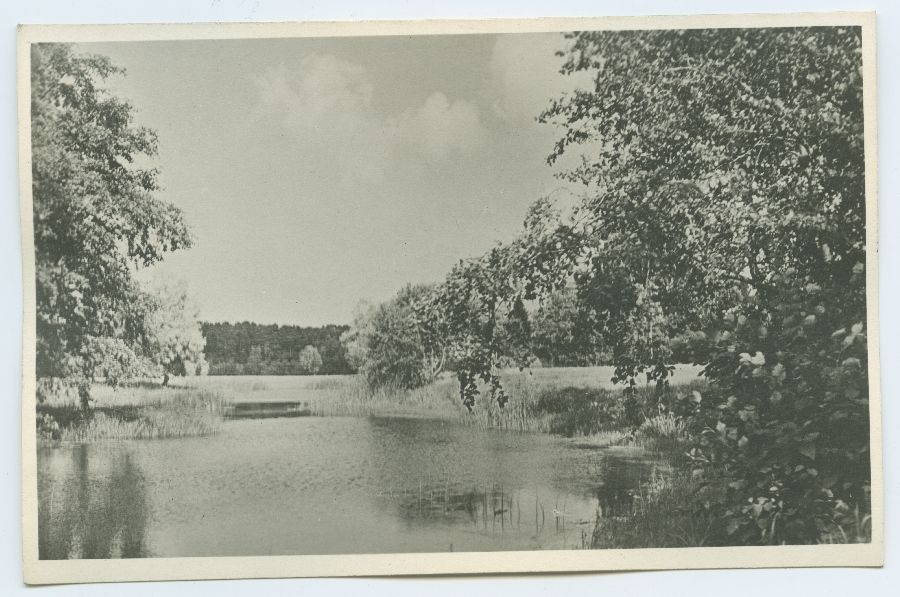 Tallinn, Pirita jõgi.