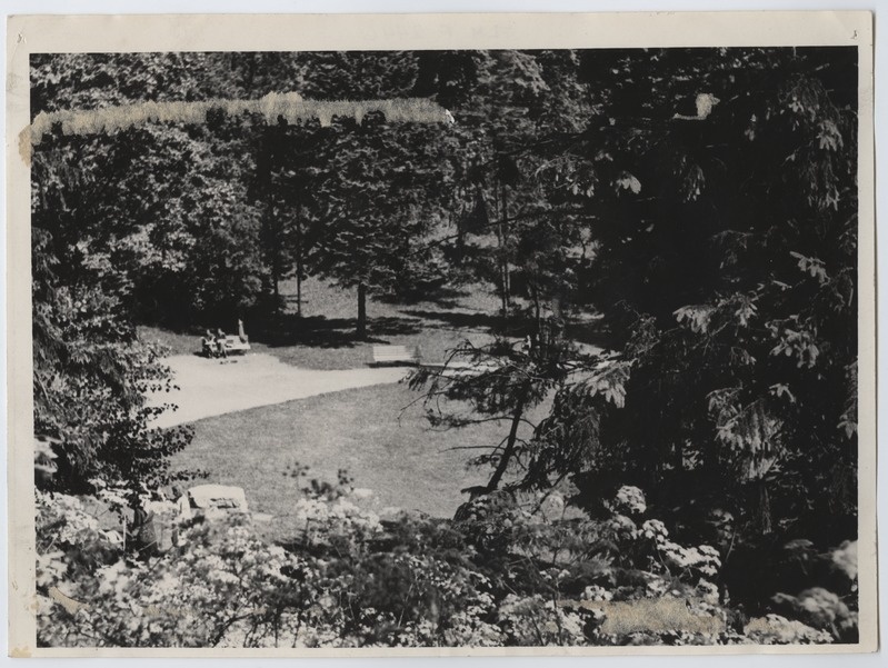 Tallinn, Mitšurini nimeline park.