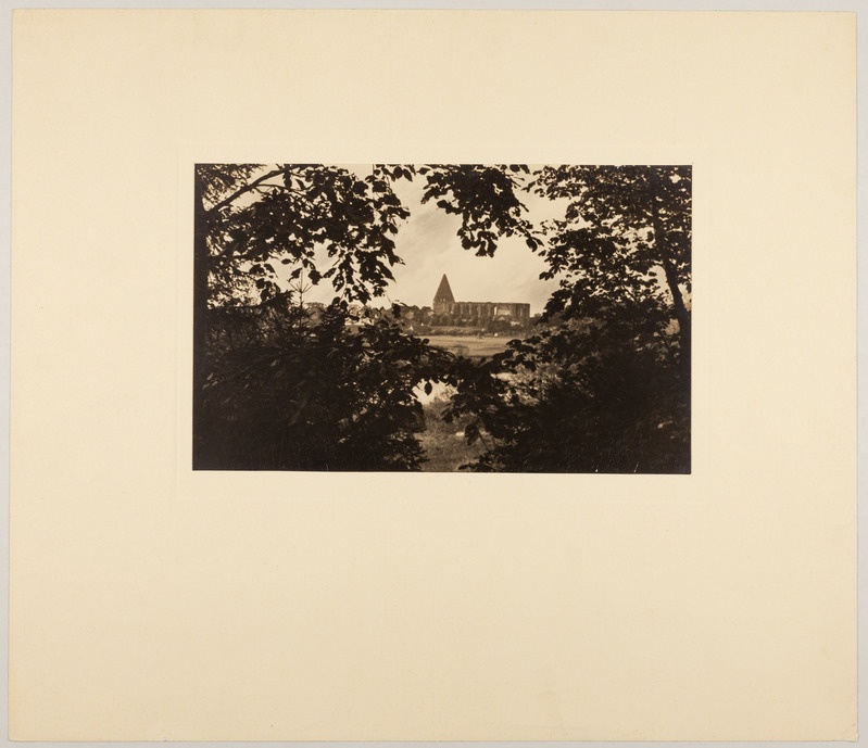 Tallinn, Pirita kloostri varemed lõunast, Pirita Kaunistamise Seltsi fotovõistluse I auhind.