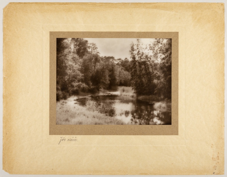 Tallinn, Pirita jõe loodus, Pirita Kaunistamise Seltsi fotovõistluse III auhind.