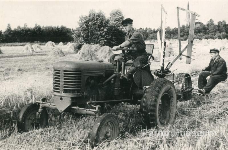 Photo, H.Rannau 1957, Rukkiscreening in Audru sovhose.