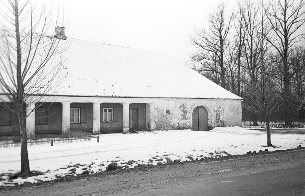 Audru drill "Kuldlõvi".