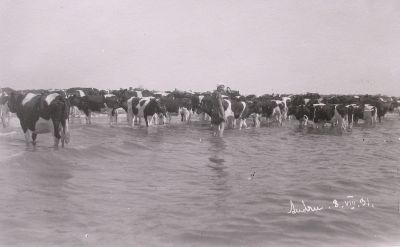 Audruu County House White Paper.