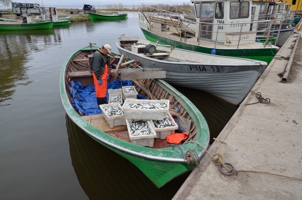 Fisherman who came from clay fishing in the port of Lindi