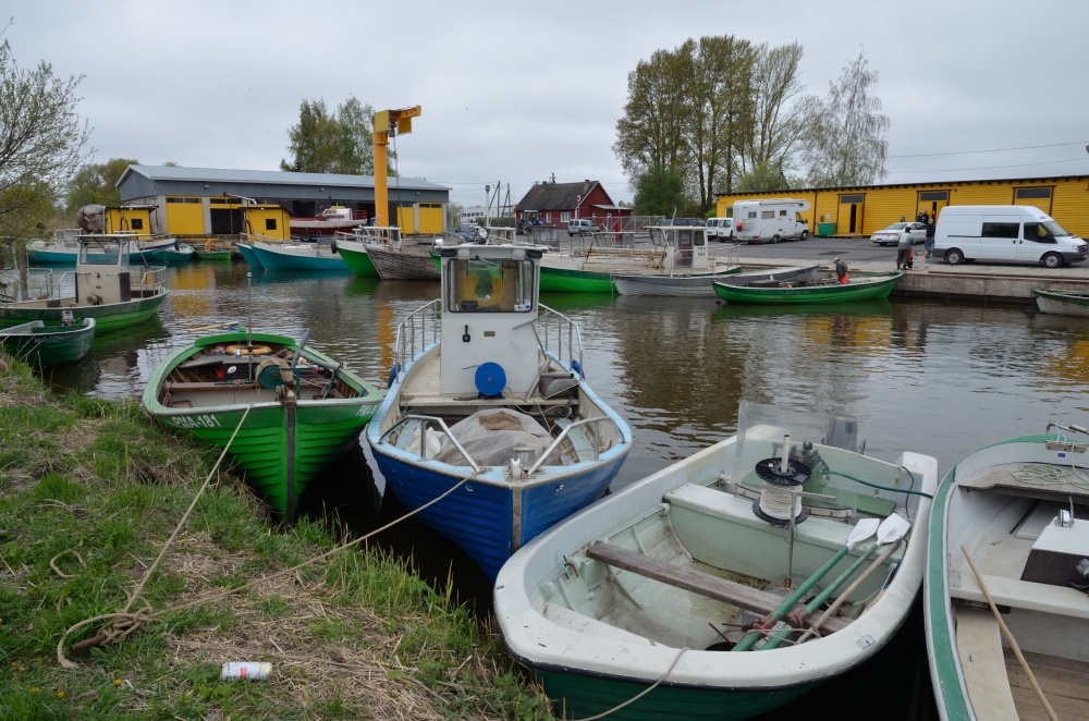 Cabbages in the quarantor of the port of Linda
