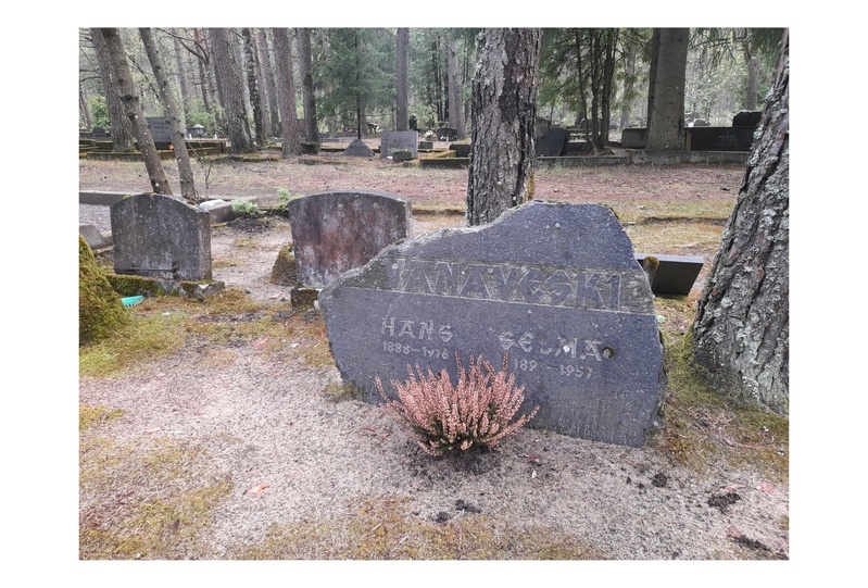 Perekond Vanaveski hauakivi rephoto