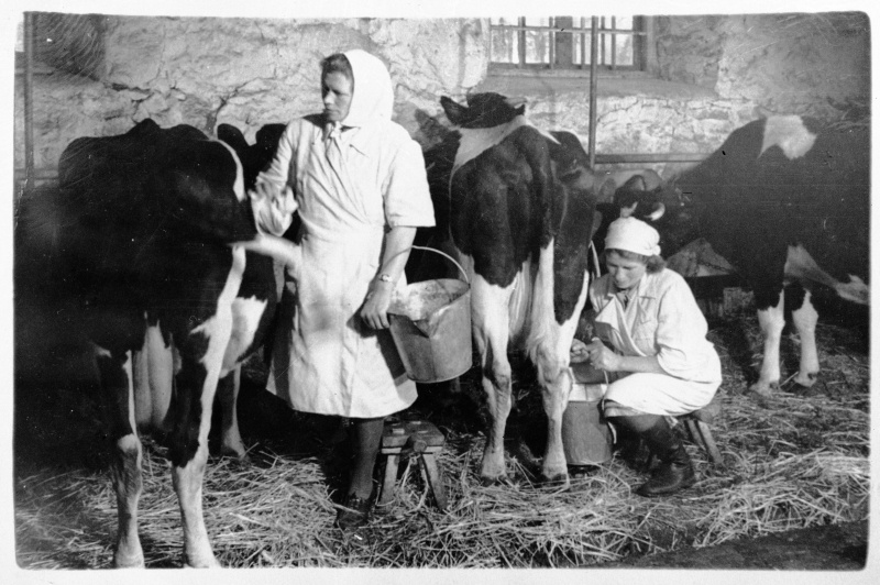 Anni Mikomägi and Salme Metsallik milking collhose "Rahva Võit" table