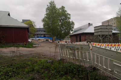 Lampaita Viikin Latokartanossa. Keskellä Viikintie. Taustalla Helsingin yliopiston Viikin maataloustieteellisten laitosten rakennuksia. rephoto