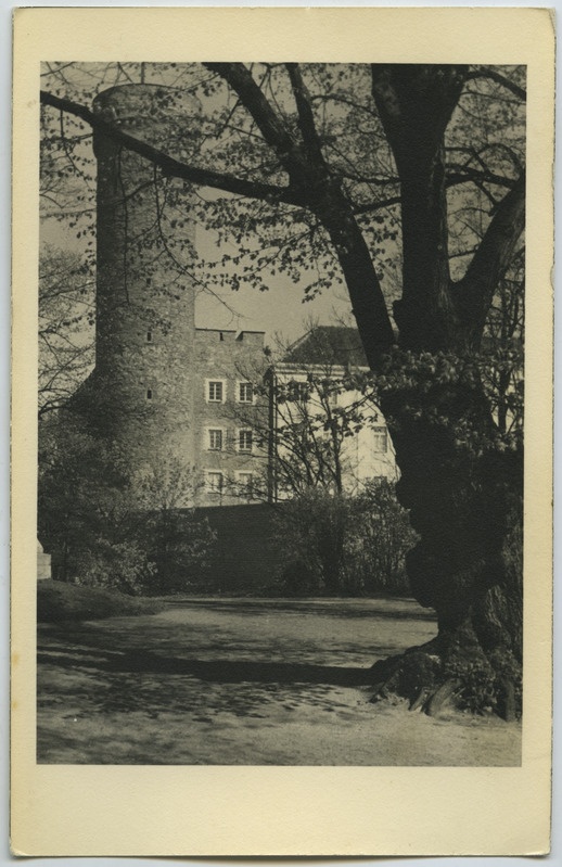 Vaade Pikale Hermannile