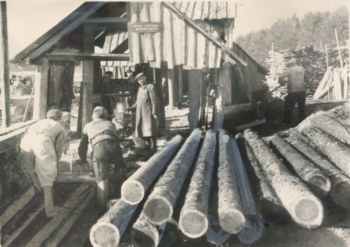 The brigade of the industrial combining of the Kilingi-Nõmme district is reloading timber.