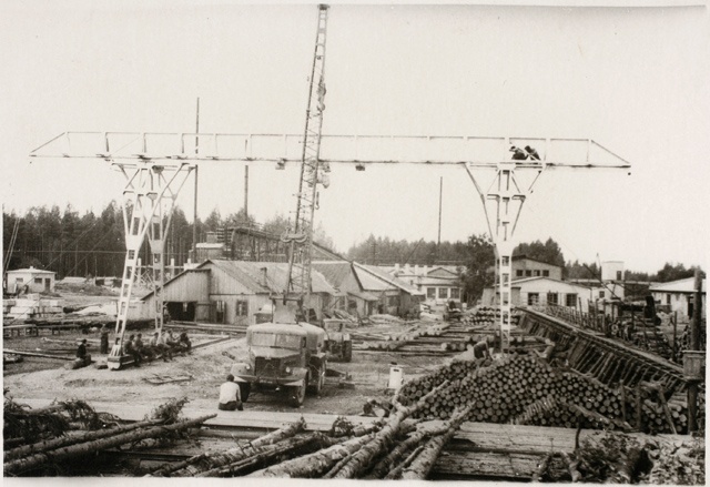 Work at the forest point of Kilingi-Nõmme forest house