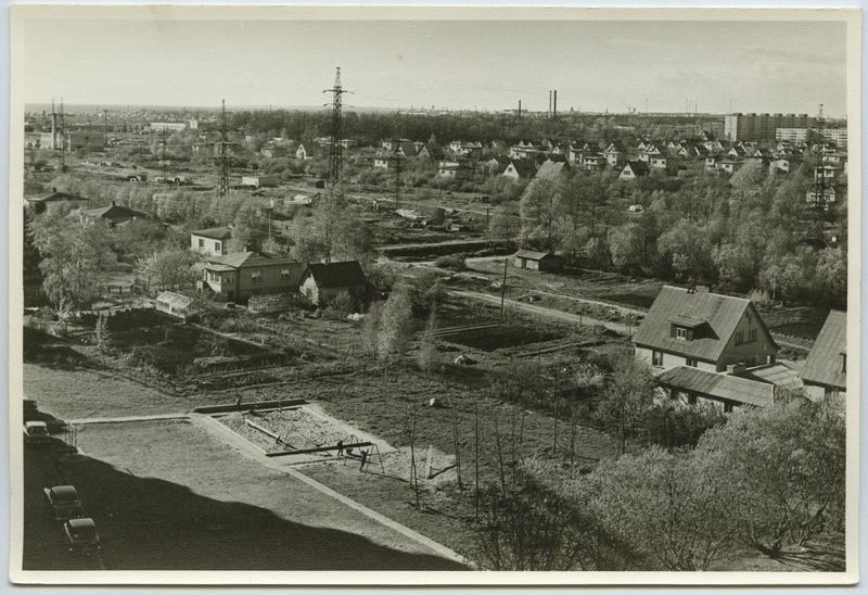 Individuaalelamute rajoon