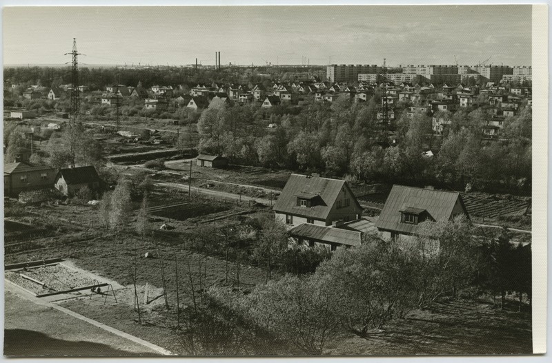 Individuaalelamute rajoon