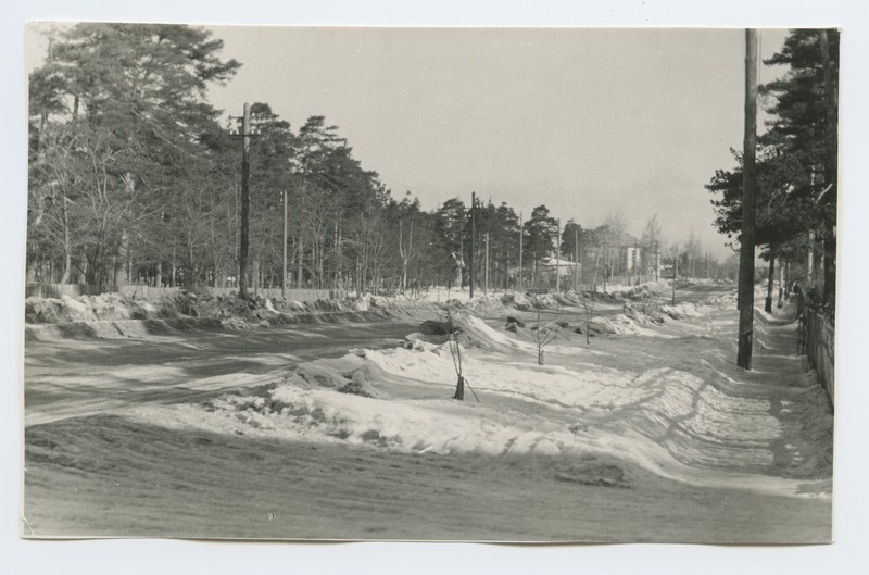 Talvine vaade Männikule