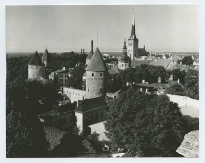 Tallinn. Vaade Tornide väljakule ja Oleviste kirikule Toompealt  duplicate photo