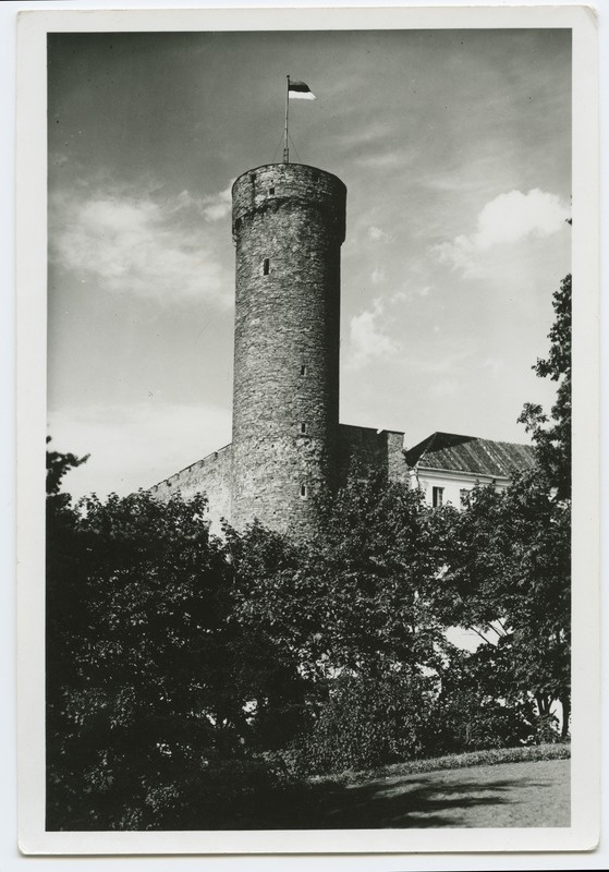 Tallinn, Toompea loss (Pikk Herman)