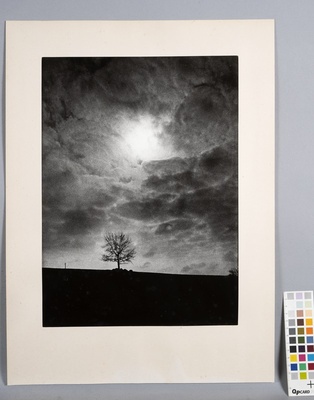 "Puu". Pilvine taevas, üksik puu ja must maapind. Raamitud foto.  duplicate photo