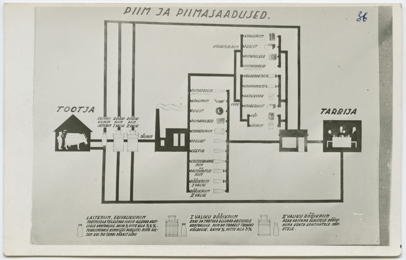 Skeem koolinäituselt