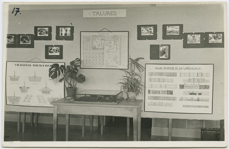 Kevadine koolinäitus