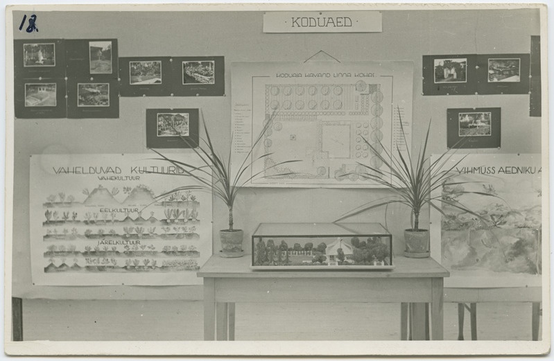 Kevadine koolinäitus