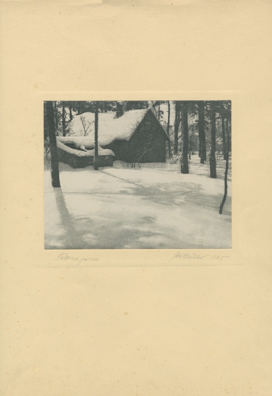 Foto. "Talvine päike".