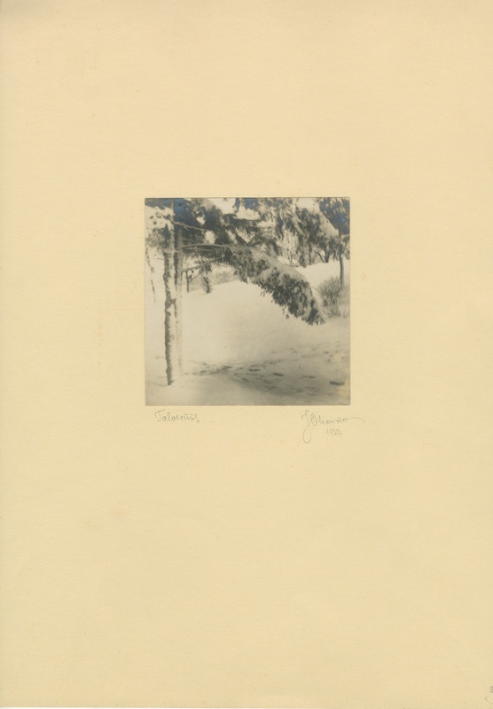 Foto. "Talverüüs"