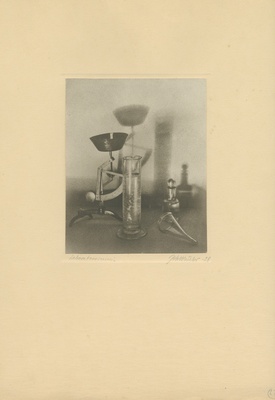 Foto. "Laboratooriumis".  duplicate photo