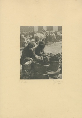 Foto. Turul  duplicate photo