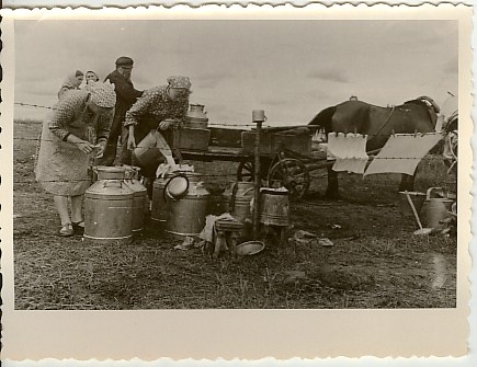 Photo, dairy transport Säde in Colhose in 1961.