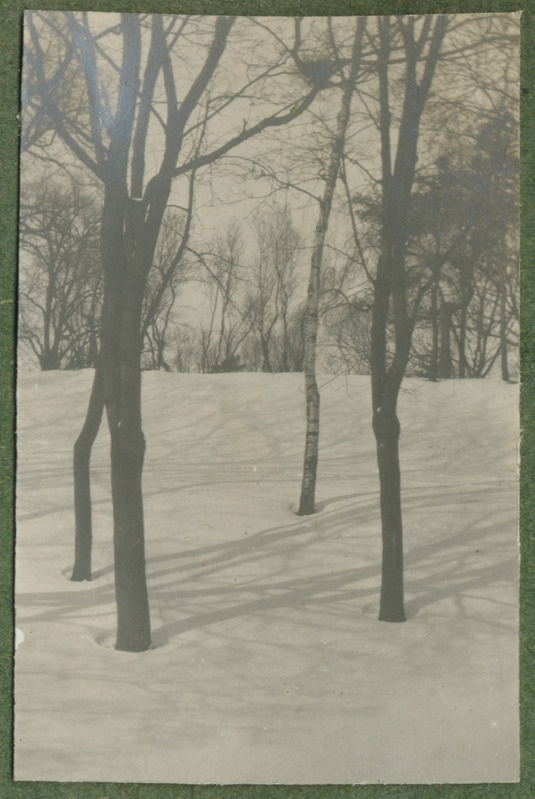 Joh. Mülberi album1: talvine vaade