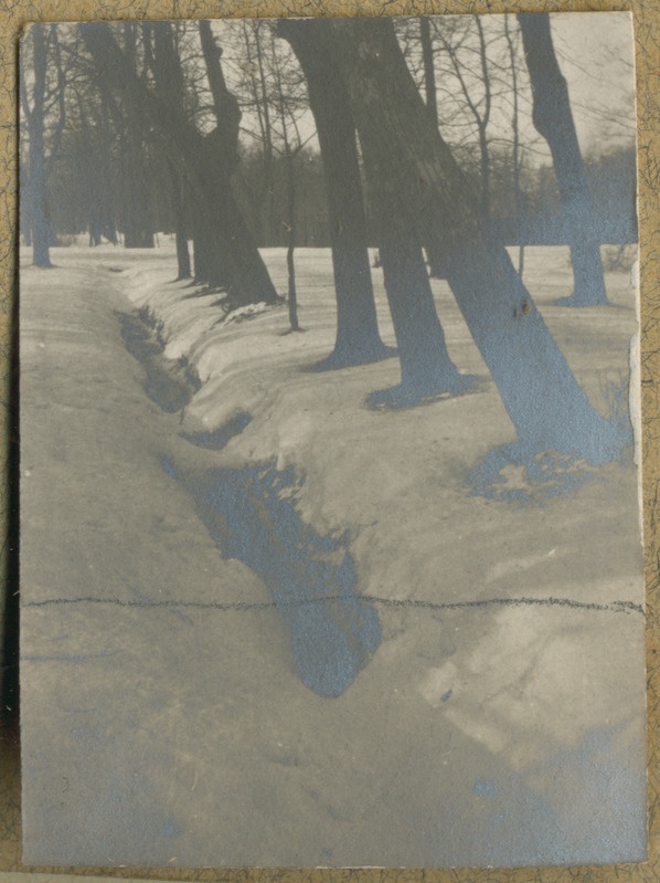 Joh. Mülberi album1: lumine park, puud, kraav