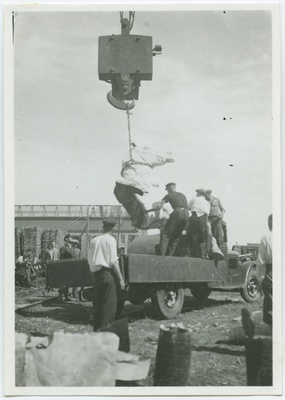 Ratsamonumendi hobuse pea laadimine autole.  duplicate photo