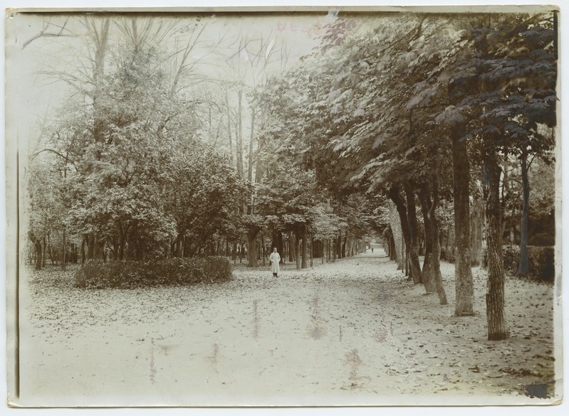 Tallinn. Allee Kadriorus sügisel