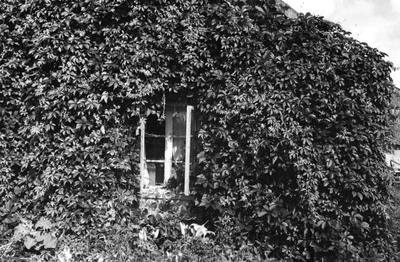Clean village Abram farm house  similar photo