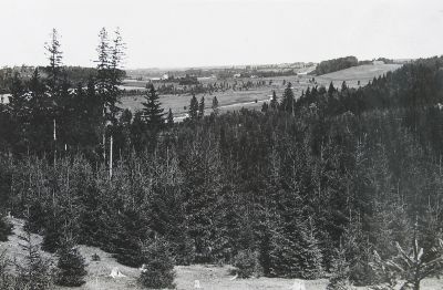 Photo album. View from the Tower of the Puhja Church to the Kavilda valley