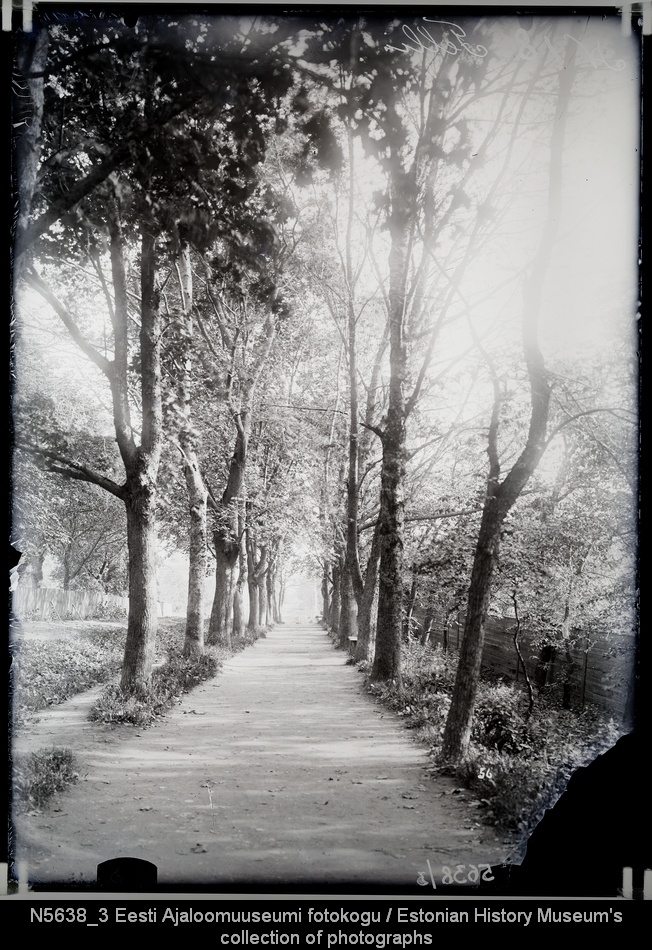 Allee Lossimägedes