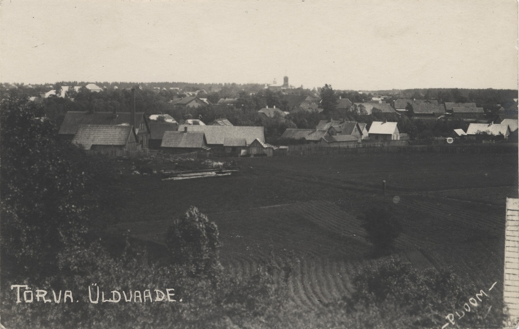 General view of the bowl