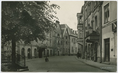 Vaade Pika tn. ja Olevimäe hargnemiskohale  duplicate photo