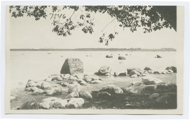 Vaade Tallinna tornidele merelt