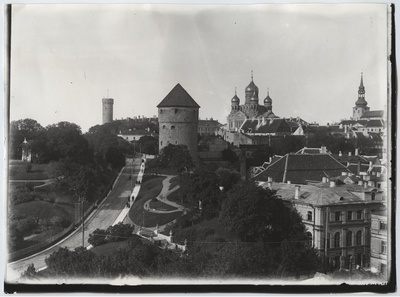 Vaade Harjumäele Kiek in de Kök'i ja Toompea suunas, pildistatud Jaani kiriku tornist.  duplicate photo