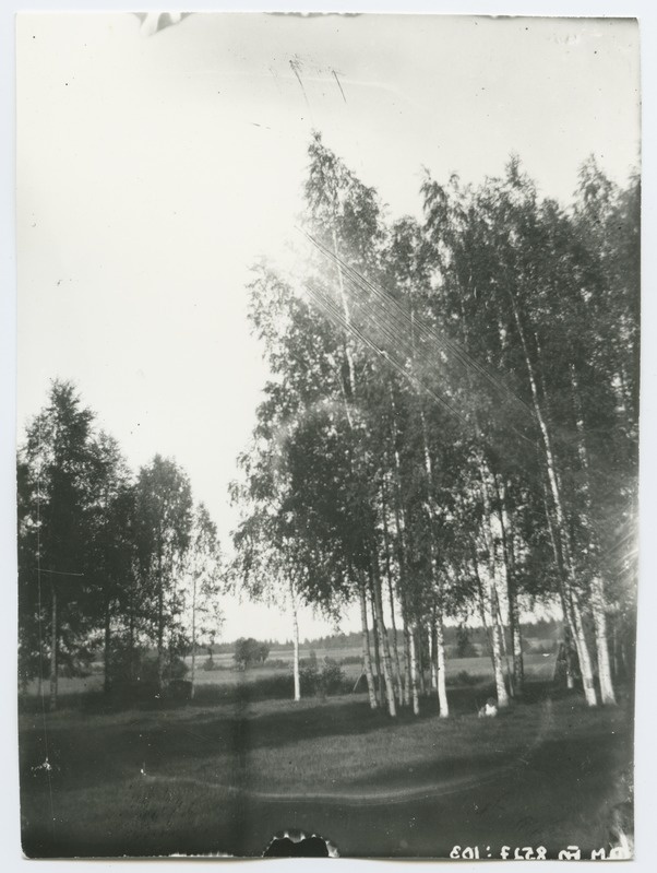 Foto kasesalust, umbes 1915. aasta.