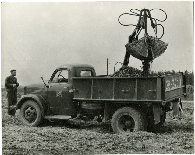 Loading of potatoes from a steam truck GAZ-2500